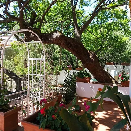 לינה וארוחת בוקר La Casa Del Gelso
