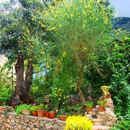לינה וארוחת בוקר La Casa Del Gelso 3*