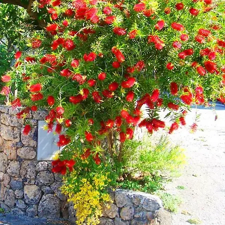La Casa Del Gelso לינה וארוחת בוקר אקוואפרדה