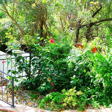La Casa Del Gelso לינה וארוחת בוקר