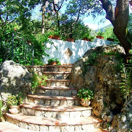 La Casa Del Gelso