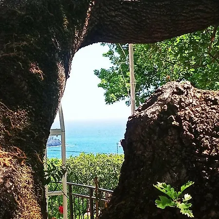 La Casa Del Gelso 3* אקוואפרדה