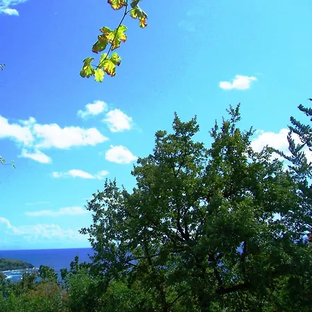 La Casa Del Gelso 3*