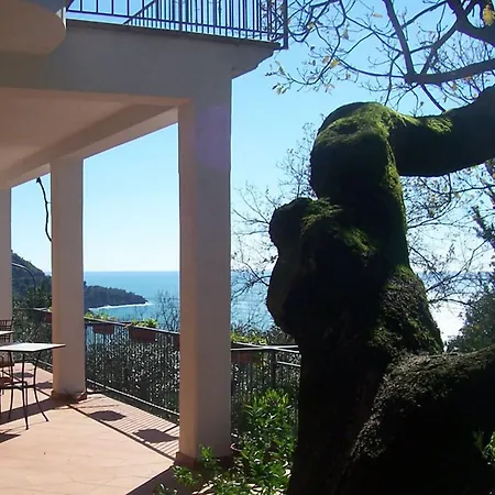 La Casa Del Gelso Bed & Breakfast 3*