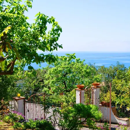 La Casa Del Gelso Bed & Breakfast