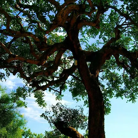 La Casa Del Gelso 3* Acquafredda