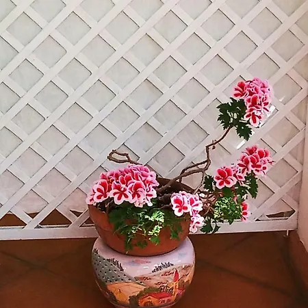 La Casa Del Gelso 3*