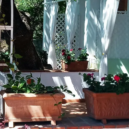La Casa Del Gelso 3*