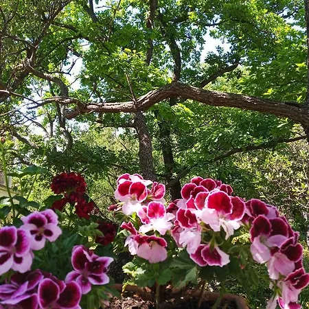 La Casa Del Gelso Acquafredda