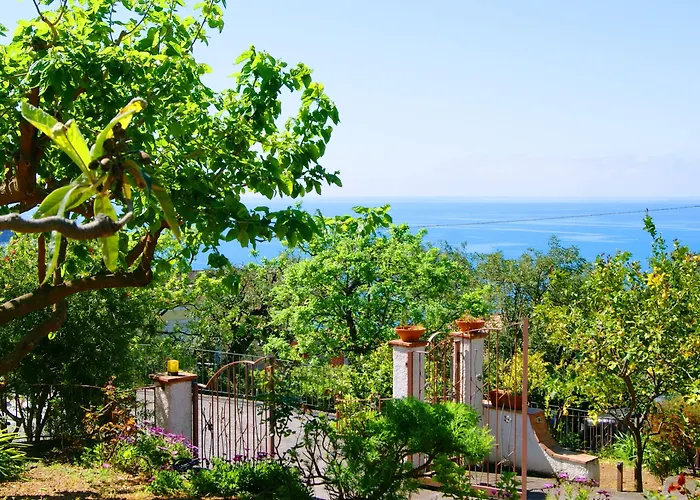 La Casa Del Gelso Bed & Breakfast