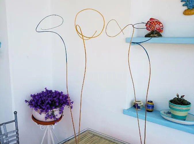 La Casa Del Gelso 3* Acquafredda