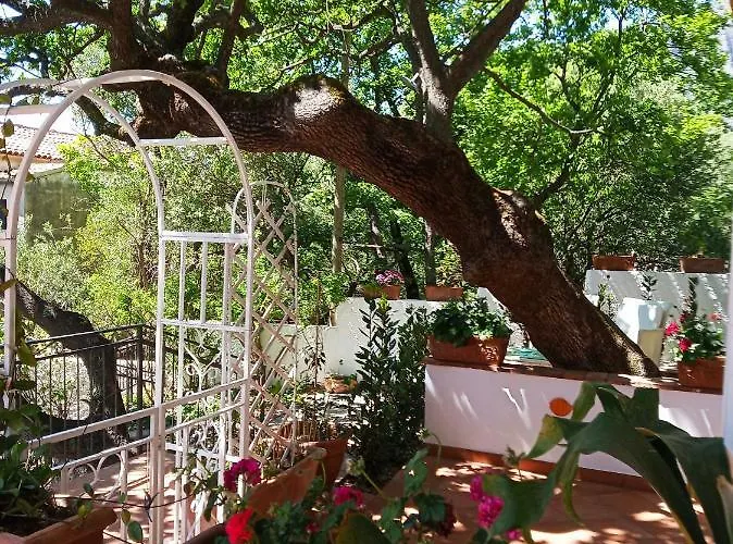 Bed & Breakfast La Casa Del Gelso