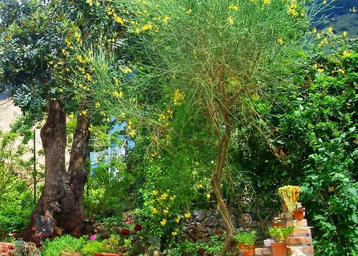 Bed & Breakfast La Casa Del Gelso 3*