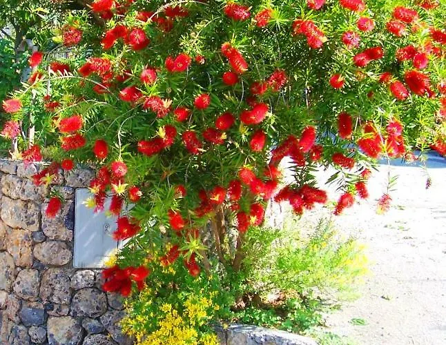 La Casa Del Gelso Bed & Breakfast Acquafredda