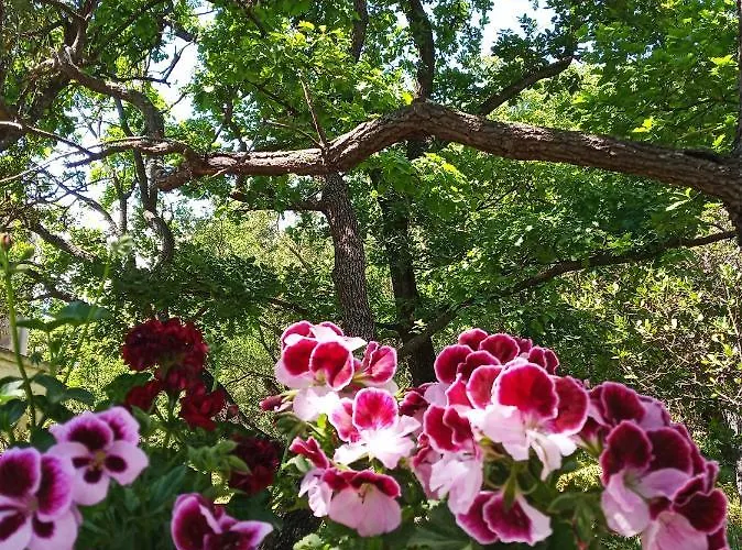 La Casa Del Gelso Acquafredda