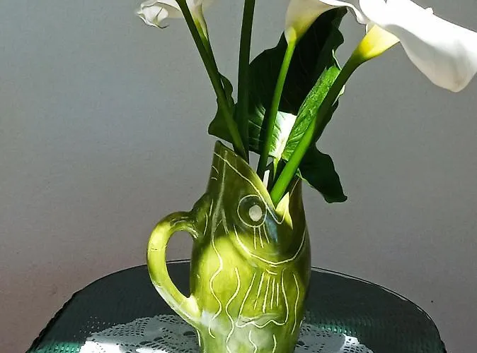 Bed & Breakfast La Casa Del Gelso Acquafredda